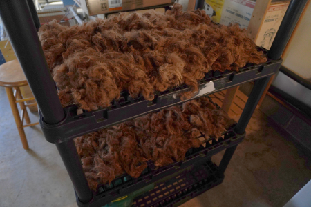 fiber air drying on a rack after being scoured